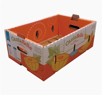 BE flute corrugated printed box tray, carton for fruit and vegetable carrying, printed folding carton