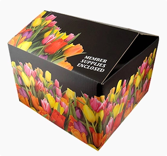 full color matte corrugated printed box, printed folding carton